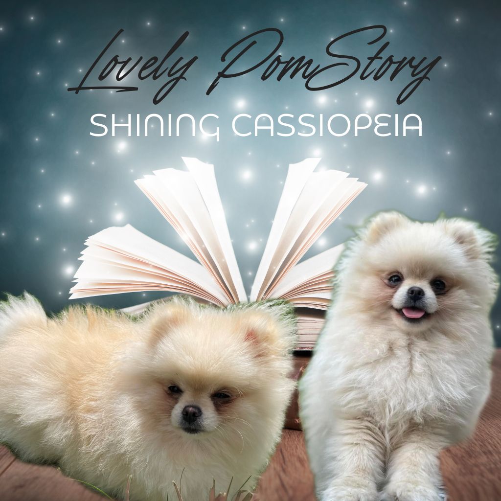 Shining cassiopeia (Sans Affixe)