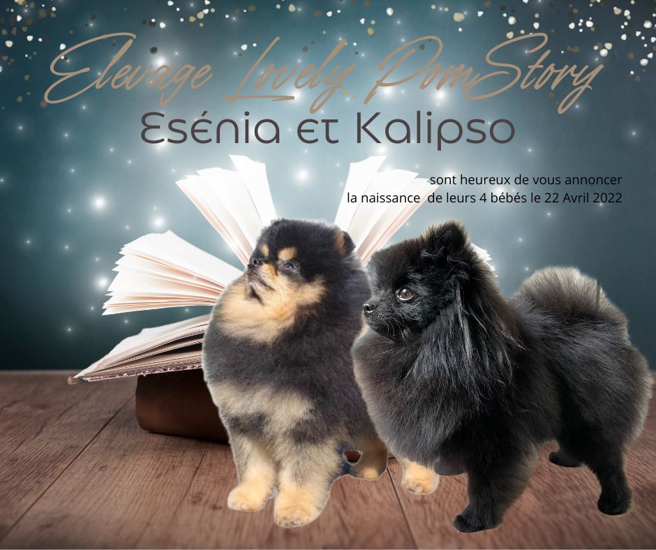Mariage Ollemuar Imperial Esenia et Nevler Line Kalipso - 22/04/2022